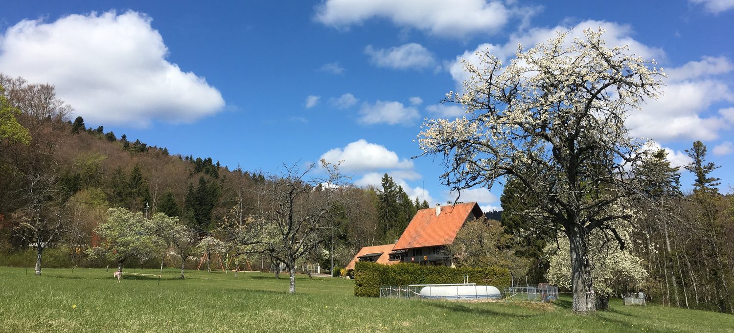 Le domaine de Colonie Vivre au printemps
